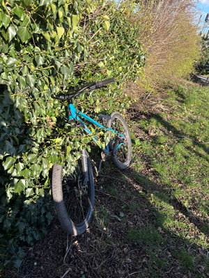 DMR Sect Dirt Jump 2025