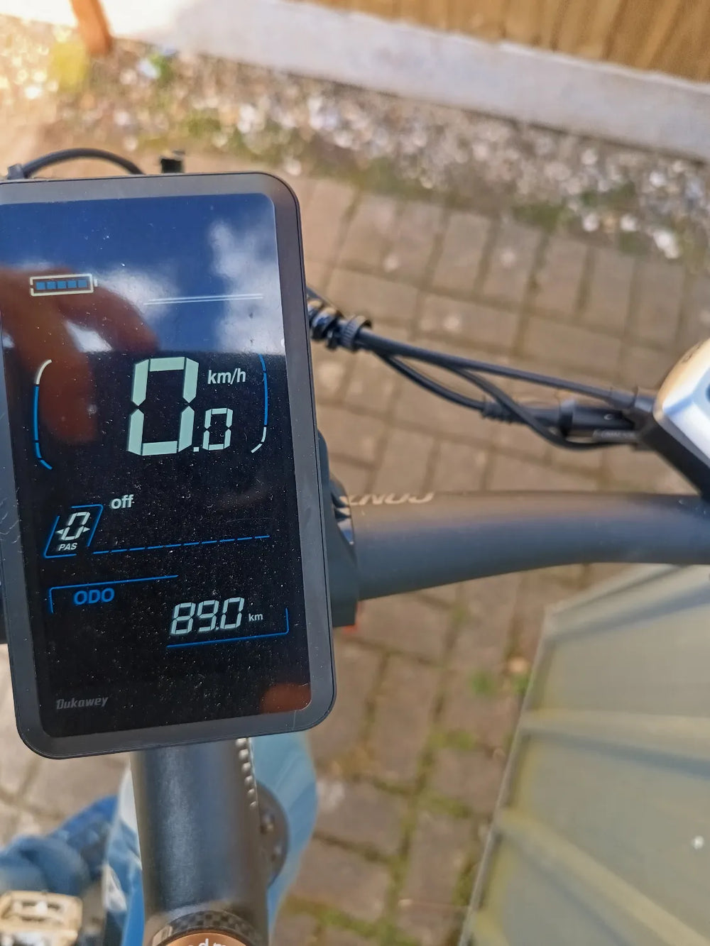 crazybird  seta 2024
