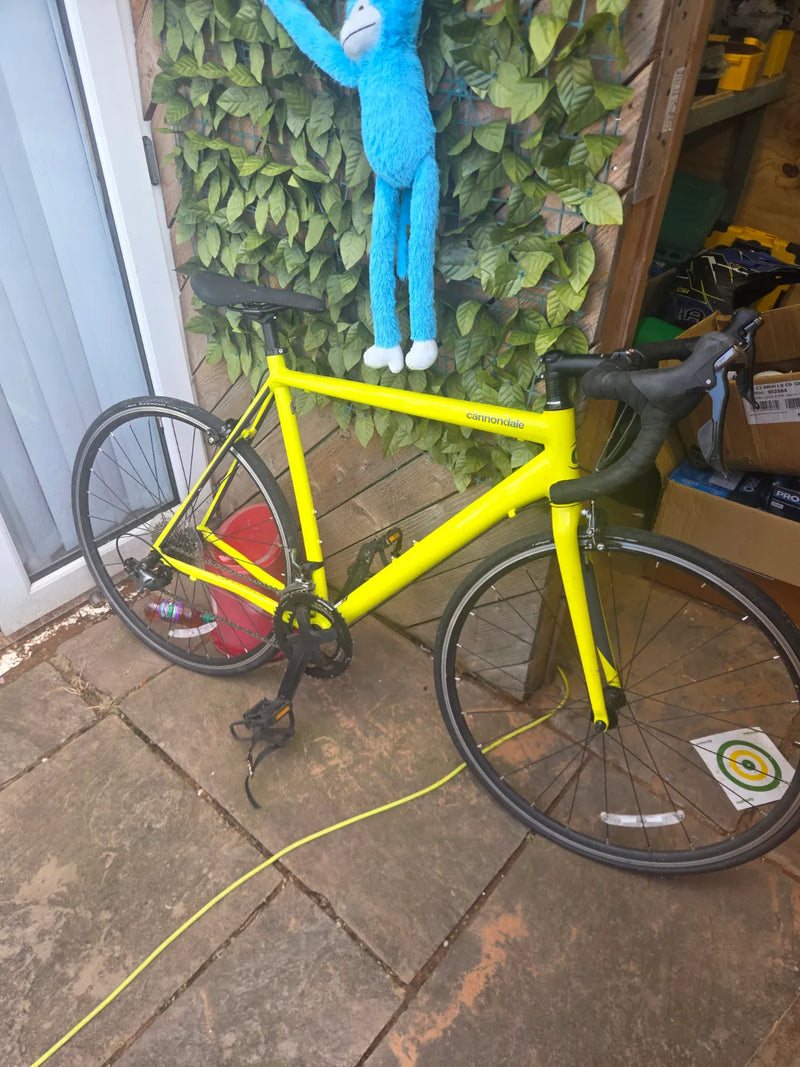 Cannondale Optimo