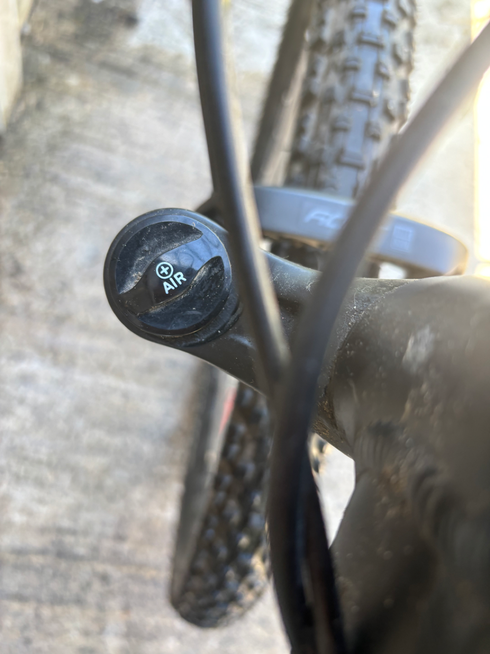 Specialized Rockhopper 2021