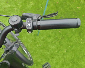 Tenways CGO800S Urban City Belt Drive E