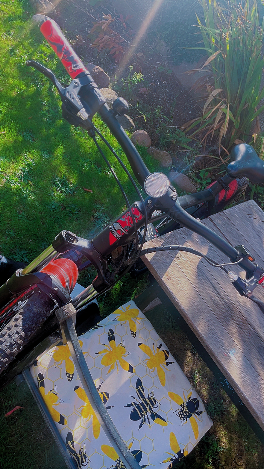 Carrera Vengeance E Mens Electric Mountain Bike Shimano 2.1 2023