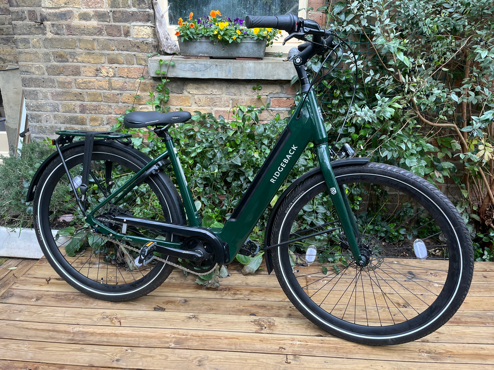 Ridgeback Electron INT 2024