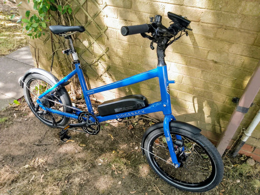 Ridgeback Errand 2024