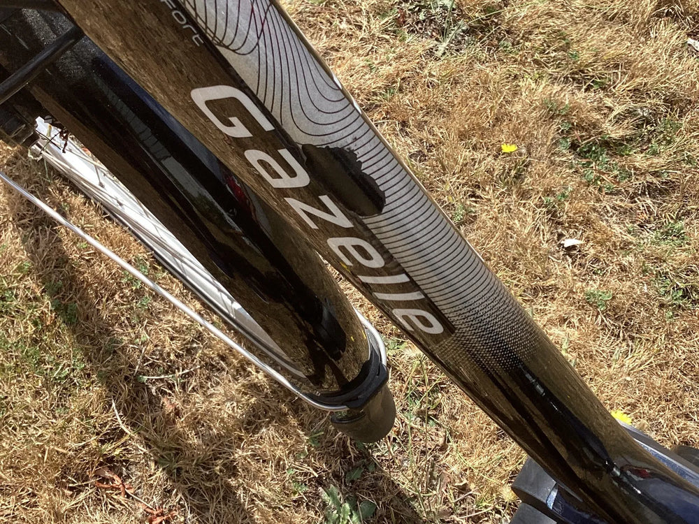 Gazelle Orange C7+ HMB Low-Step 2017