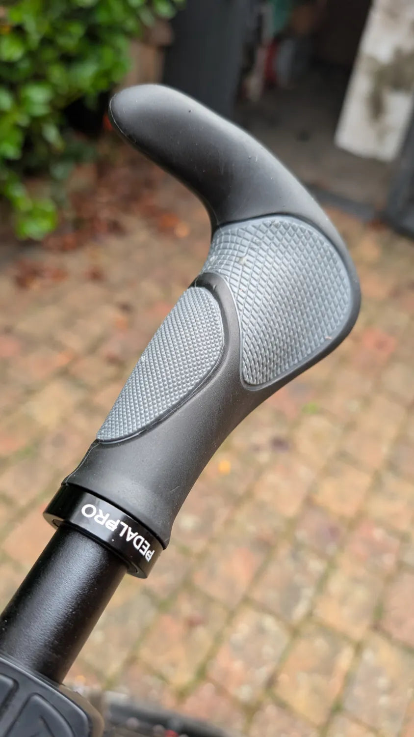 Riese & Muller NEVO GX47 2019