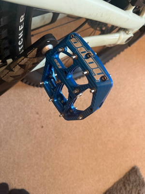 Specialized Status 160 2021