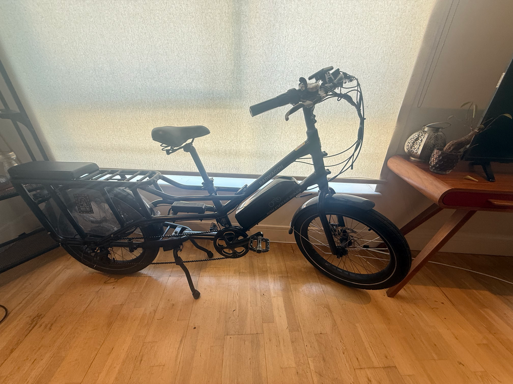 Rad Power RadWagon 4 2024
