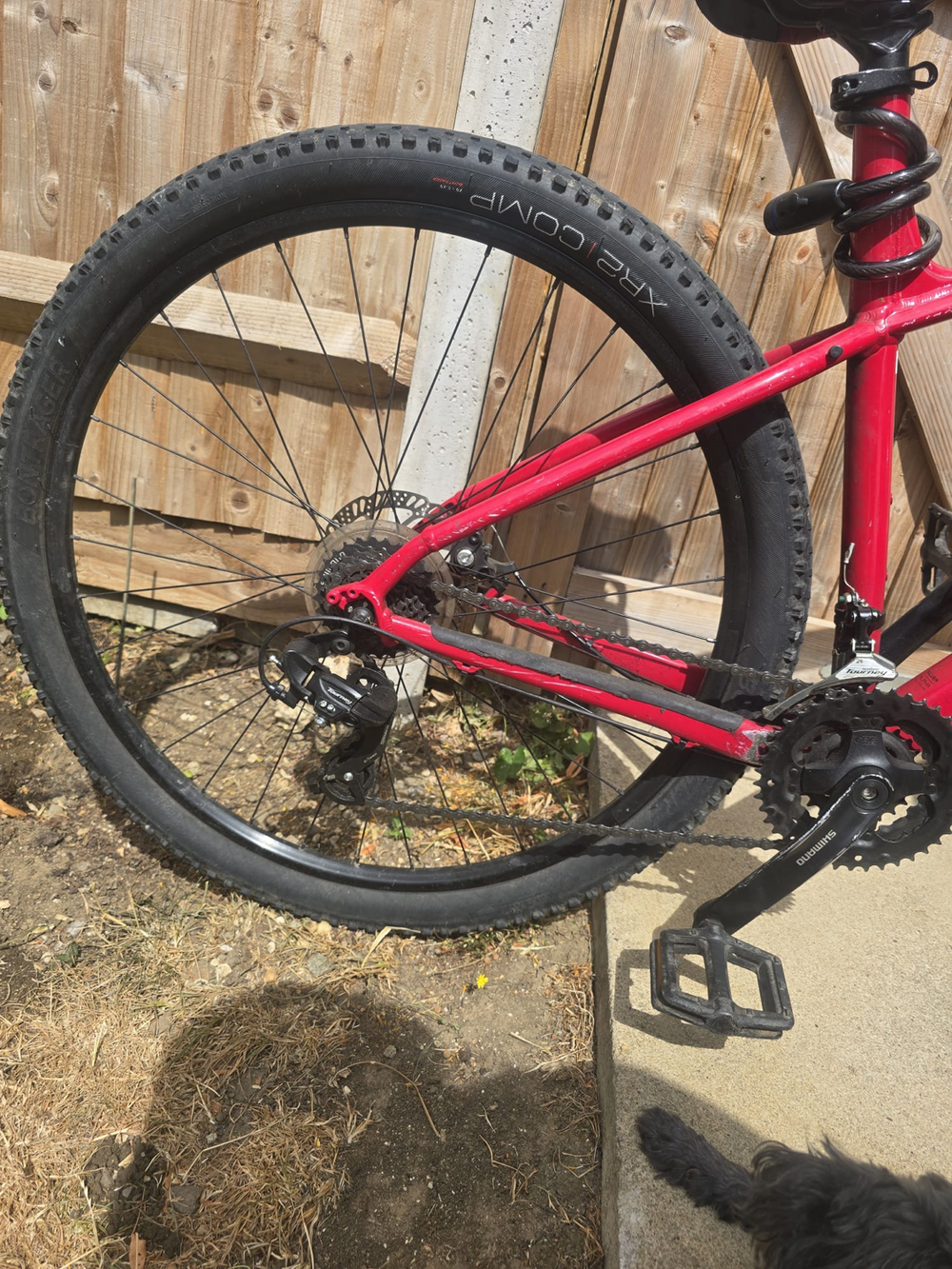 Trek Marlin 4 2024