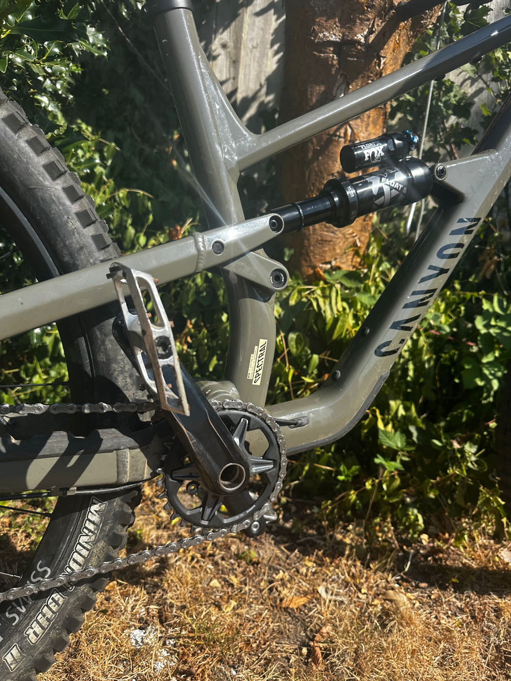 Canyon Spectral 29 6 2022