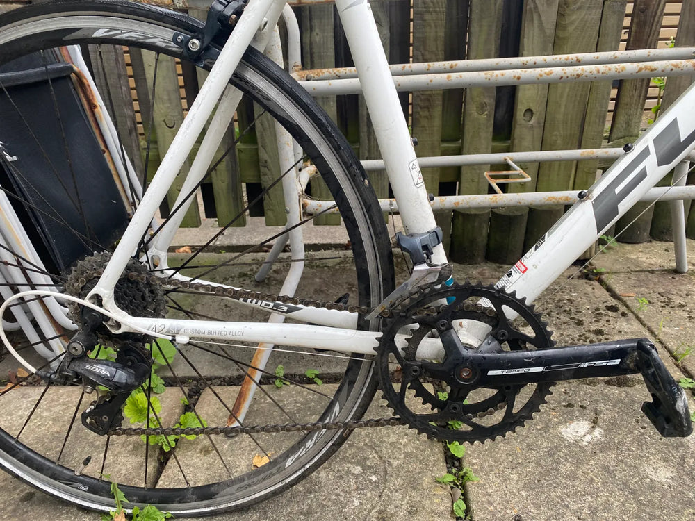 Fuji Sportif 2.3 2022