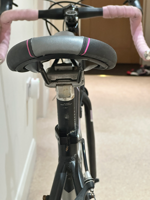 Dawes Giro 300 2010