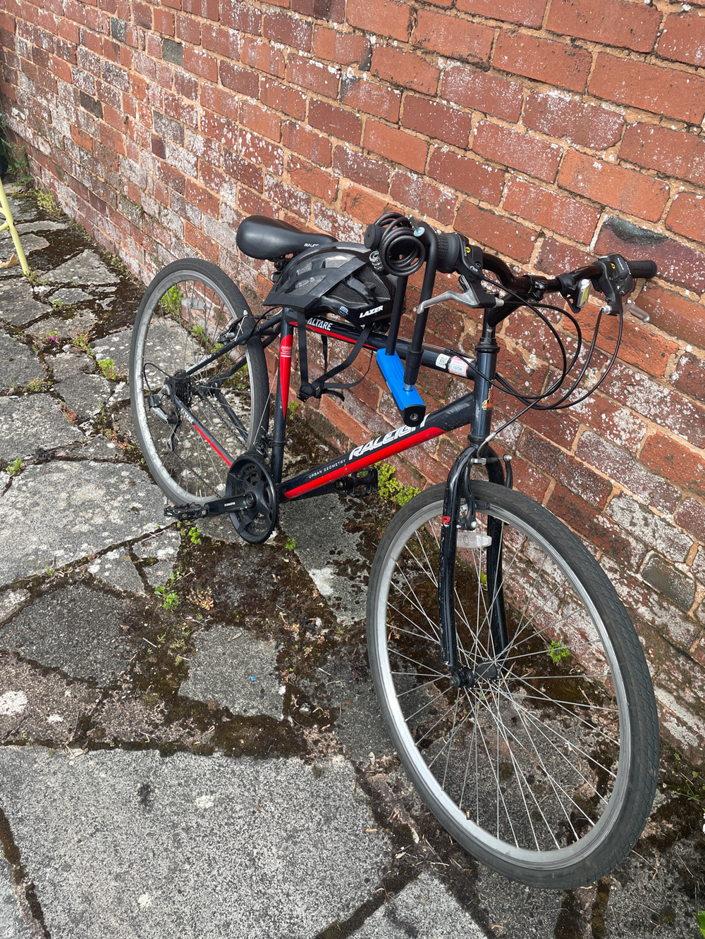 Raleigh Urban 2 1994