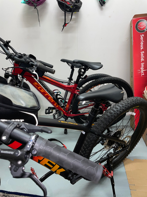 Trek Roscoe 8 2022