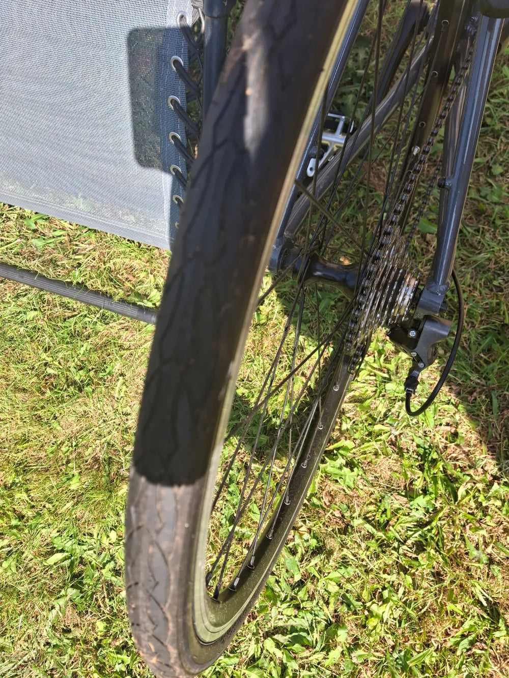 Vitus Razor W 2022