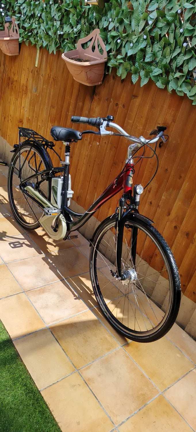 Raleigh Dover deluxe 2015