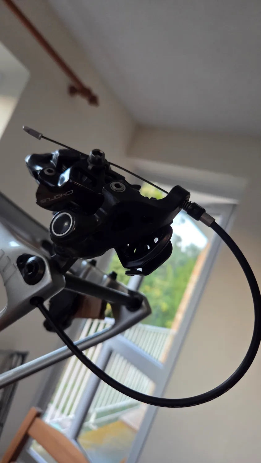 Basso Astra Campagnolo Chorus 12s Disc 2022
