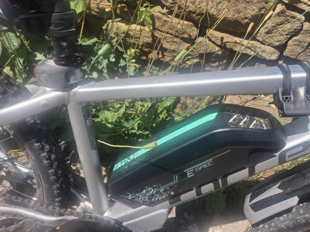Carrera Vengeance-E Pro 2025