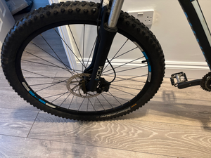 Marin Bobcat Trail 9 4 29 2015