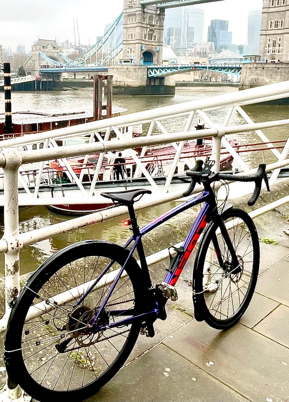 Trek Domane AL 2 2021