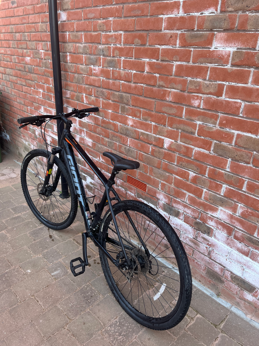 Giant Roam 3 Disc 2020