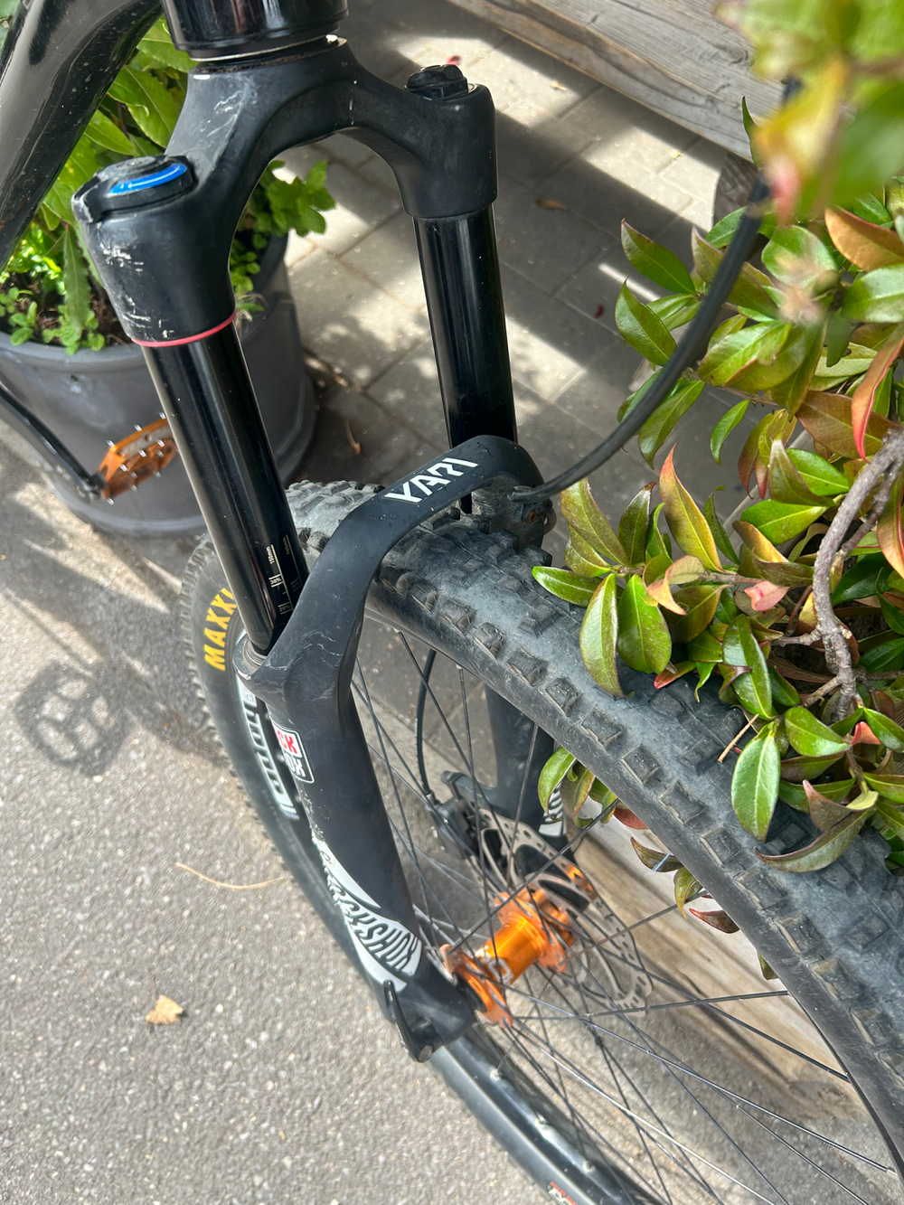 Vitus Venon 2022