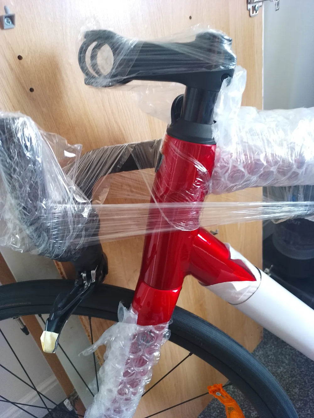 Trek Domane AL 2 2025