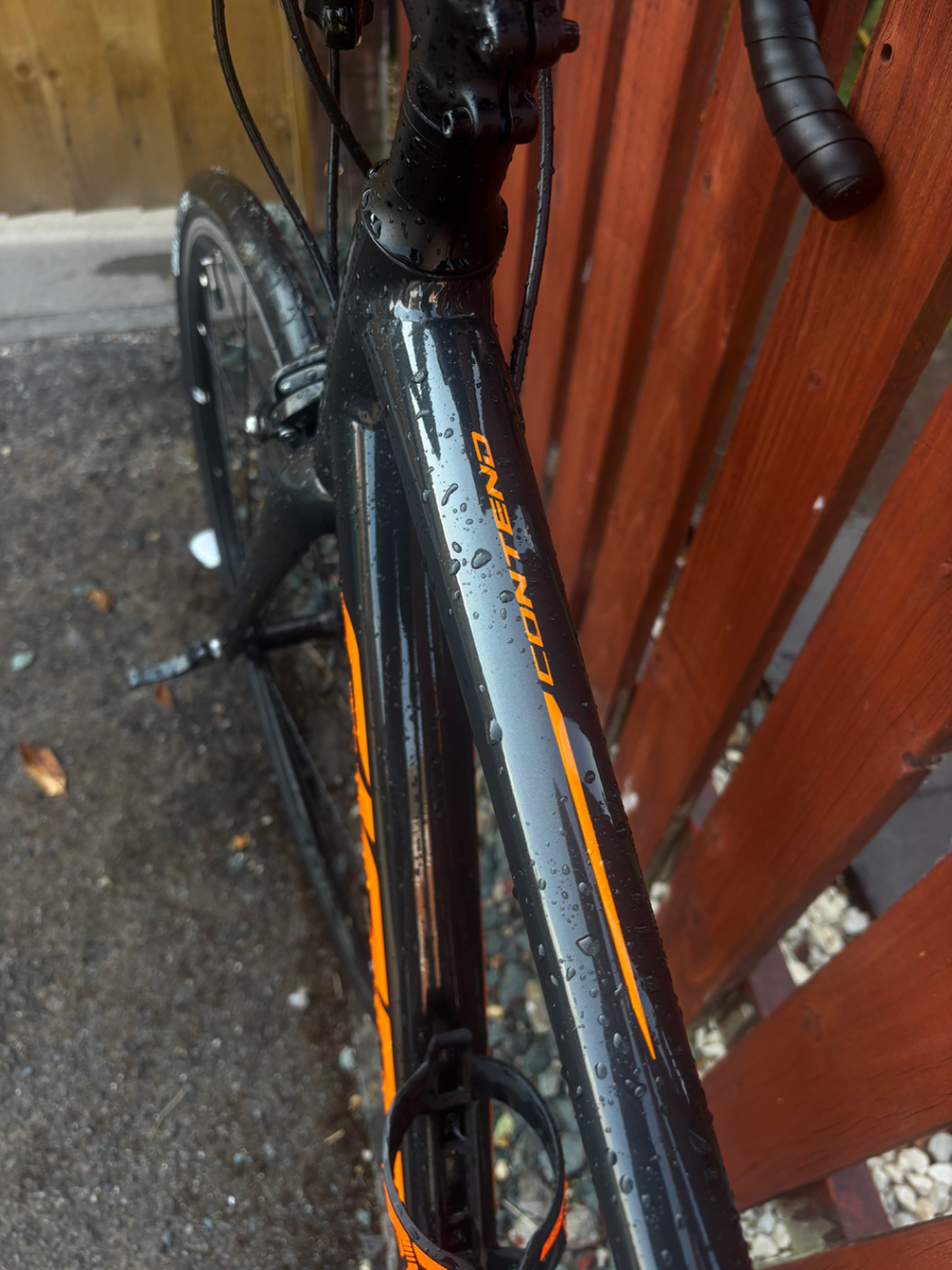 Giant Contend SL 1 2020