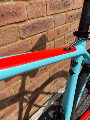 Specialized Amira Comp 2019