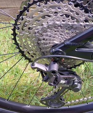 Vitus Sommet 29 CR 2021