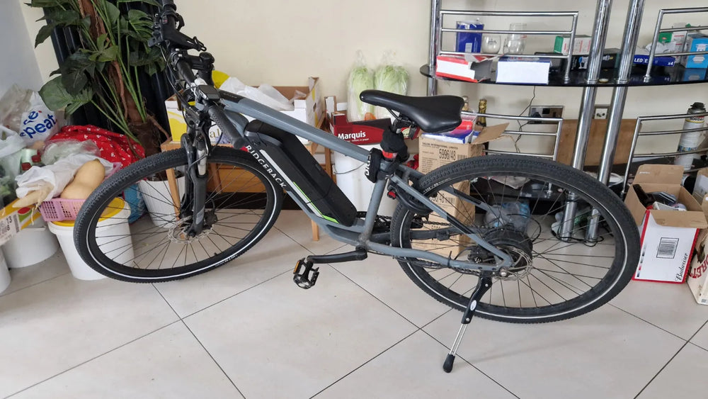 Ridgeback Arcus 1 2024