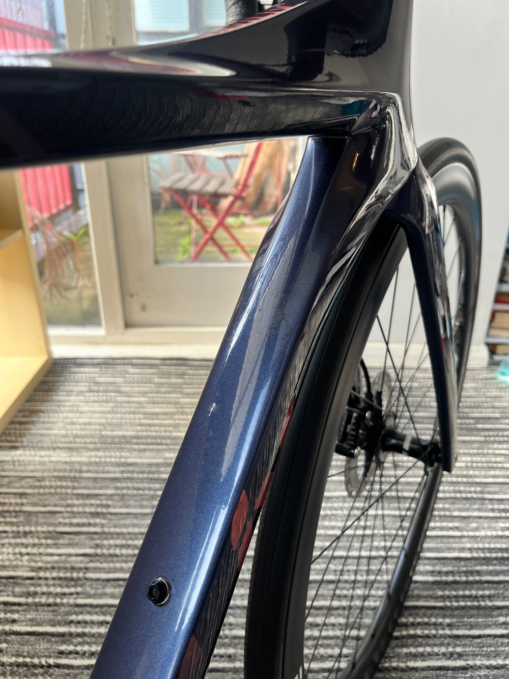 Liv EnviLiv Advanced Pro Disc 2 2022