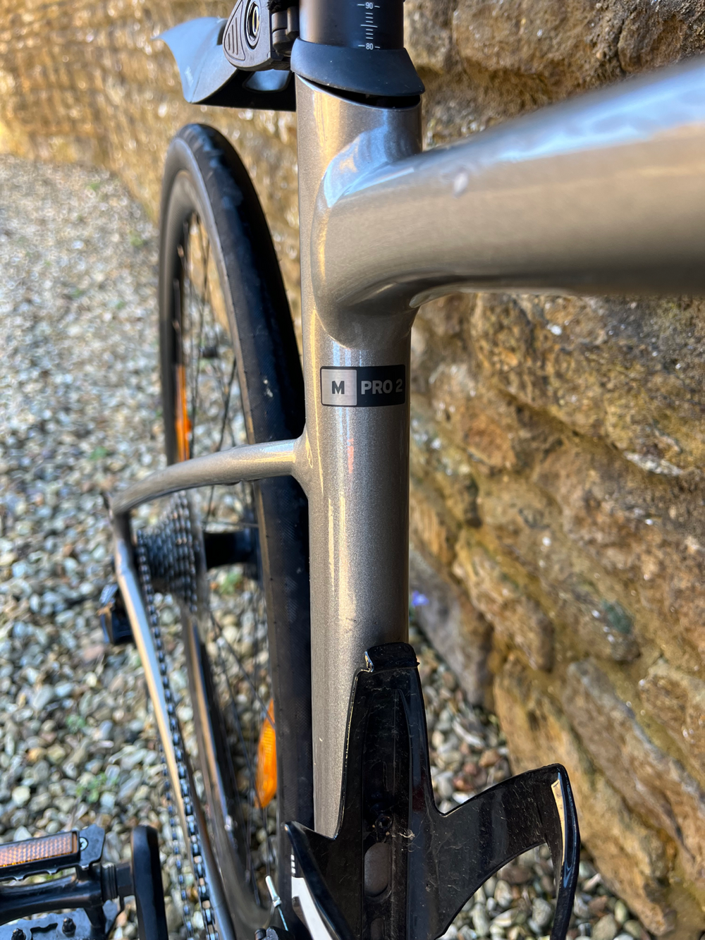 Giant E+2 Pro 2020