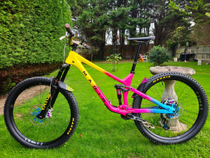 Marin Alpine Trail Carbon Fun2 Frameset 2024