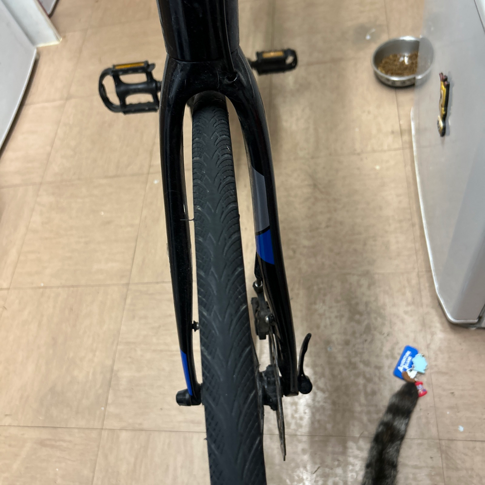 Cannondale Synapse 1 2021