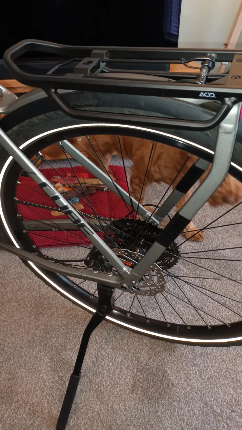 Cube Kathmandu Exc - Classic Frame 2025