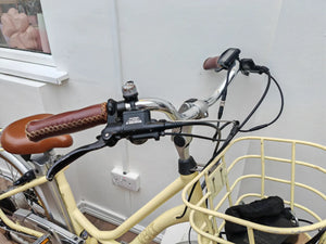 Volt Kensington 2021