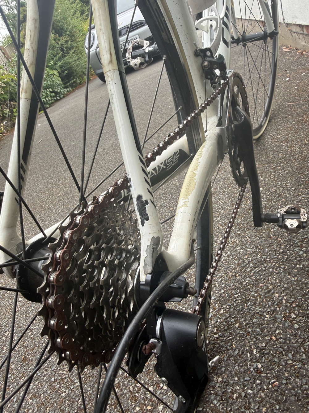 Specialized Roubaix 2013