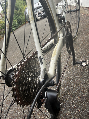 Specialized Roubaix 2013