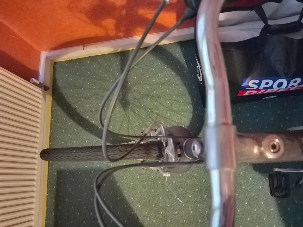 Raligh Pioneer  2024