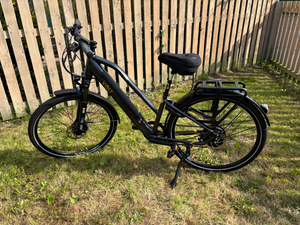Volt Pulse Ls 2024