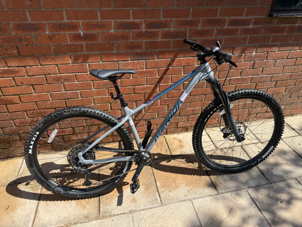 Merida BIG.TRAIL 500 2024