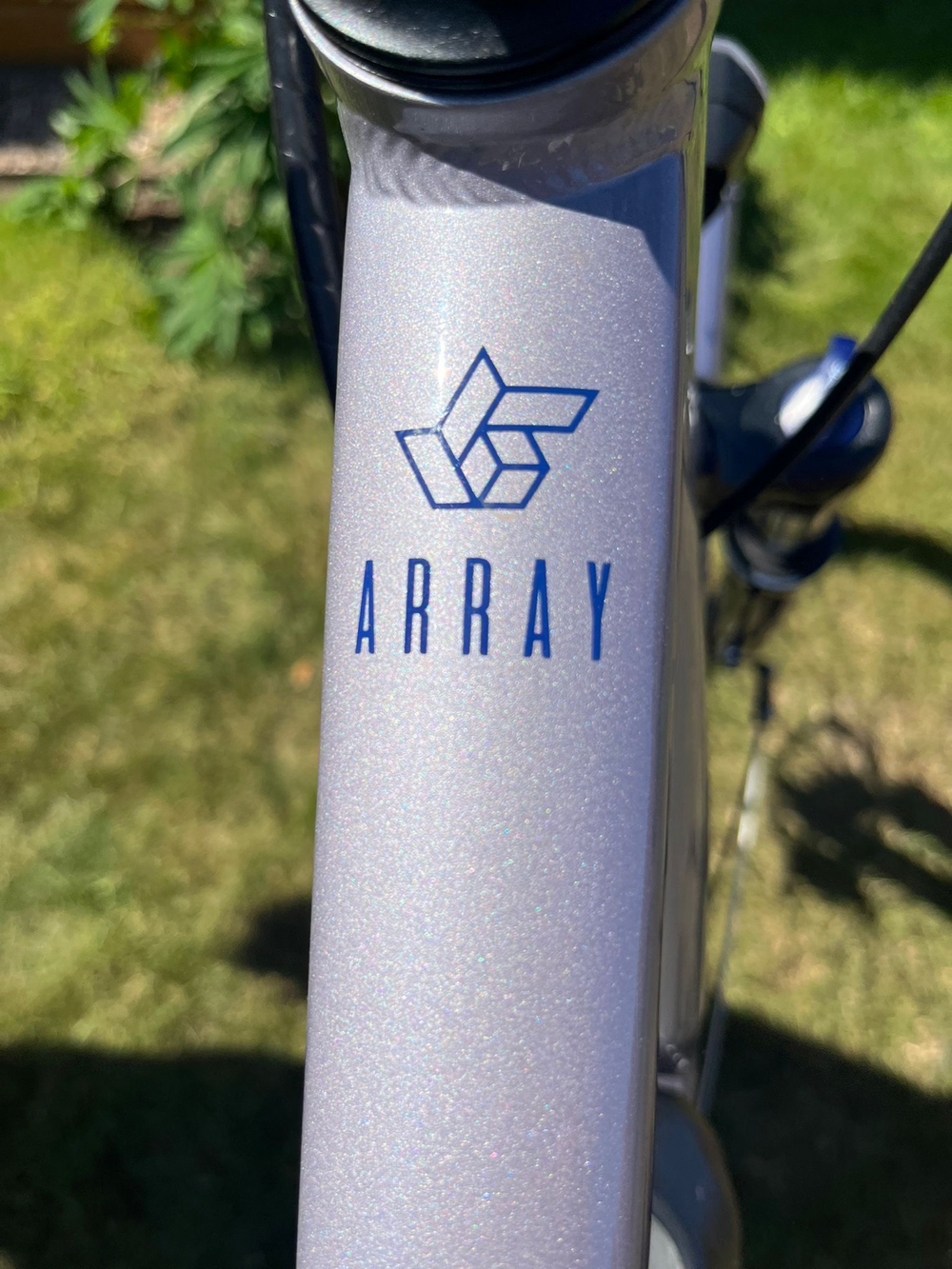 Raleigh Array 2021