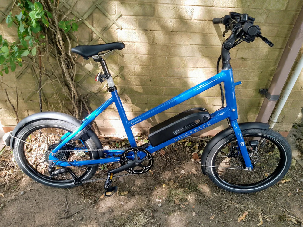 Ridgeback Errand 2024