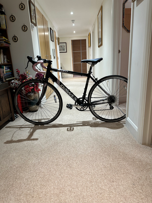 Dawes Giro 300 2010