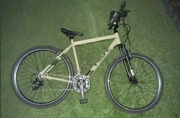 Insync Not sure 2024