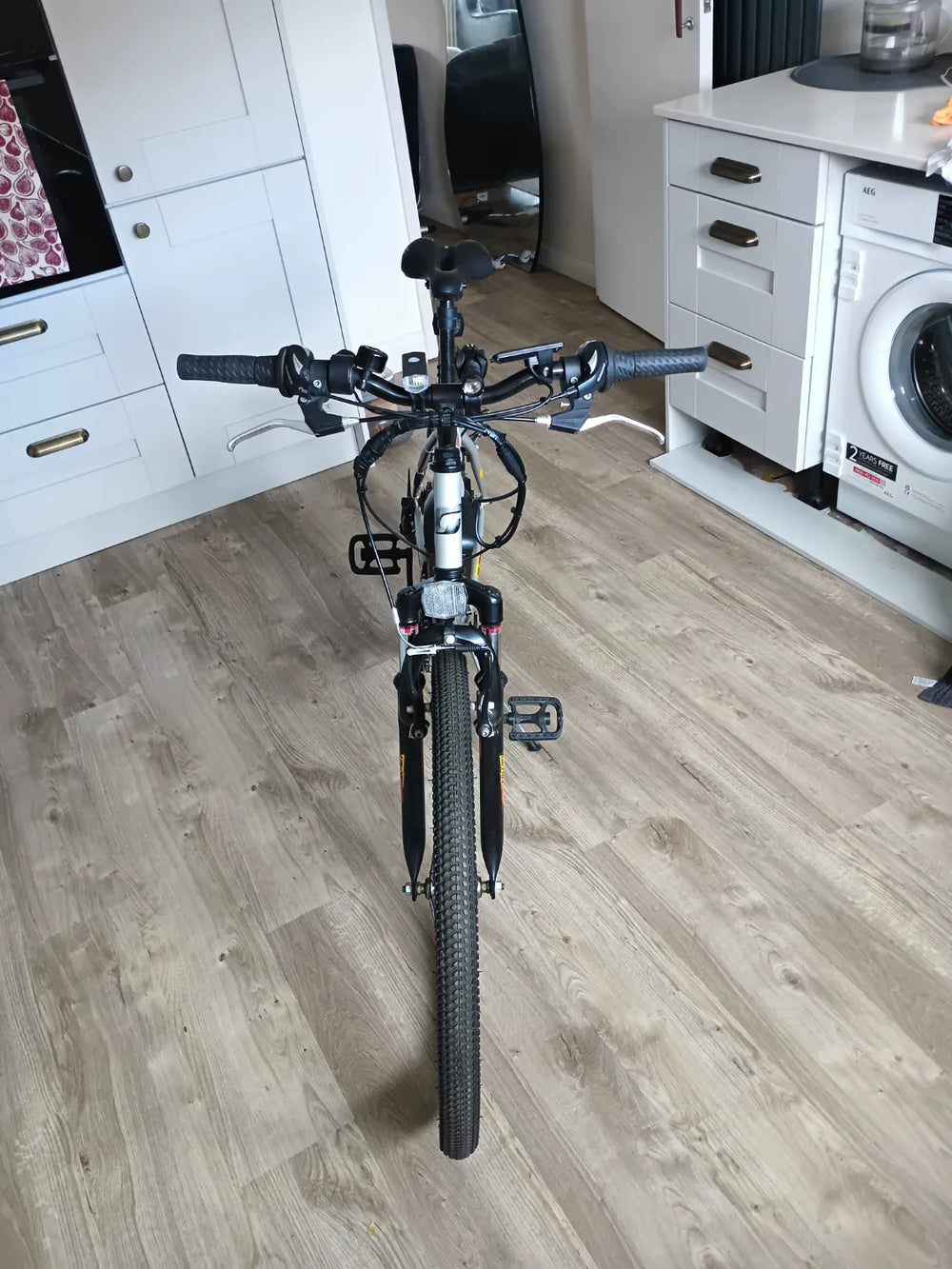 Gitane Falcon  2022