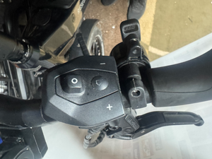 Riese and Muller Homage GT Vario 2019