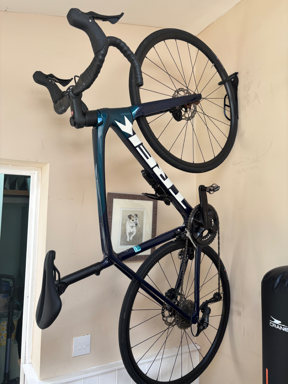 Trek Émonda SL 5 2024