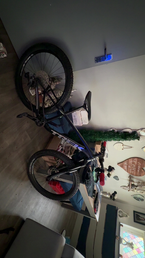 Trek Roscoe 7 2024